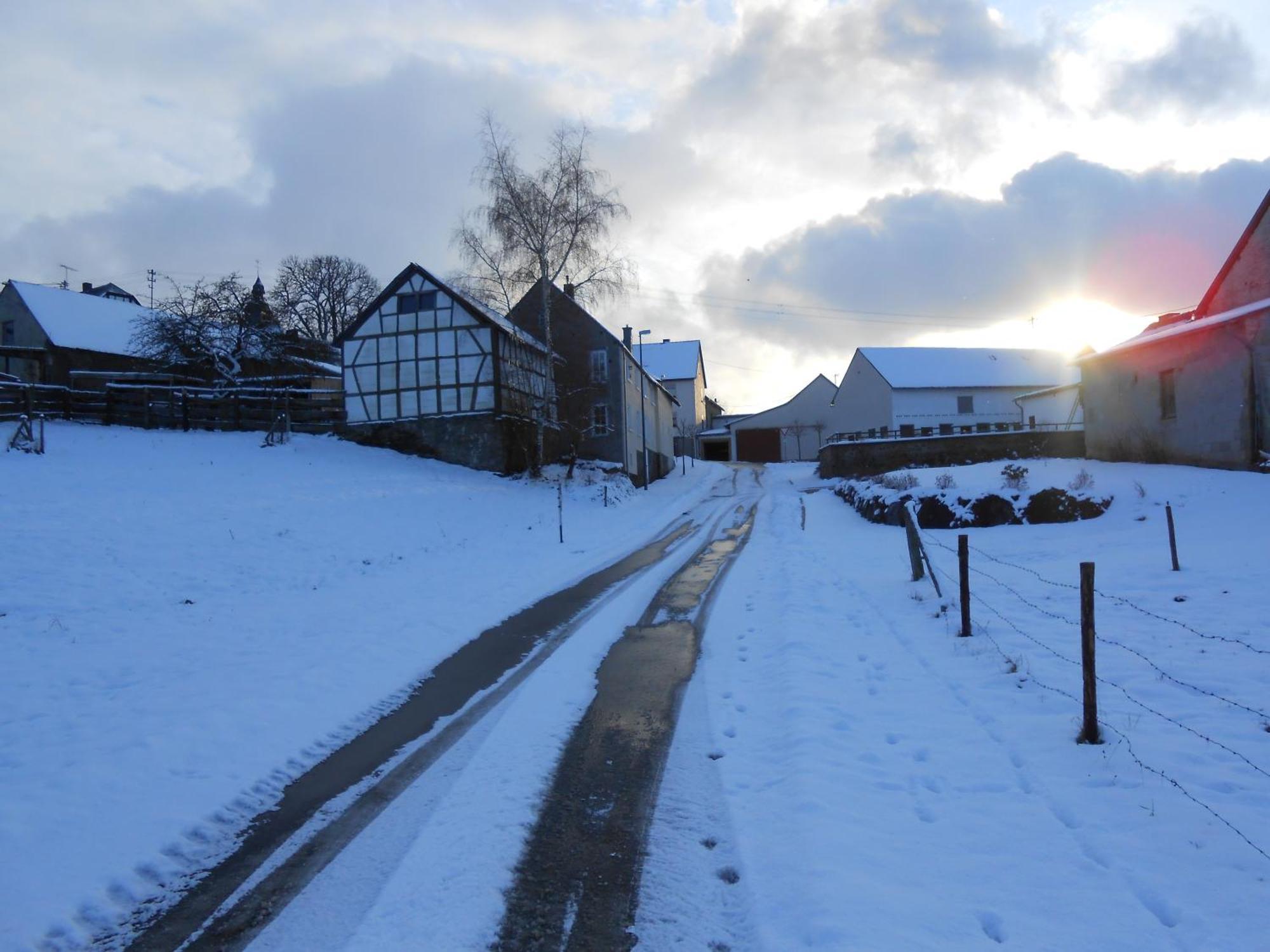 Ferienwohnung Schloessershof Borler Esterno foto